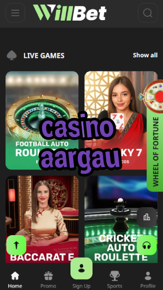 Casino Aargau - Best Swiss Casino-casinodogs.ydblkf.net
